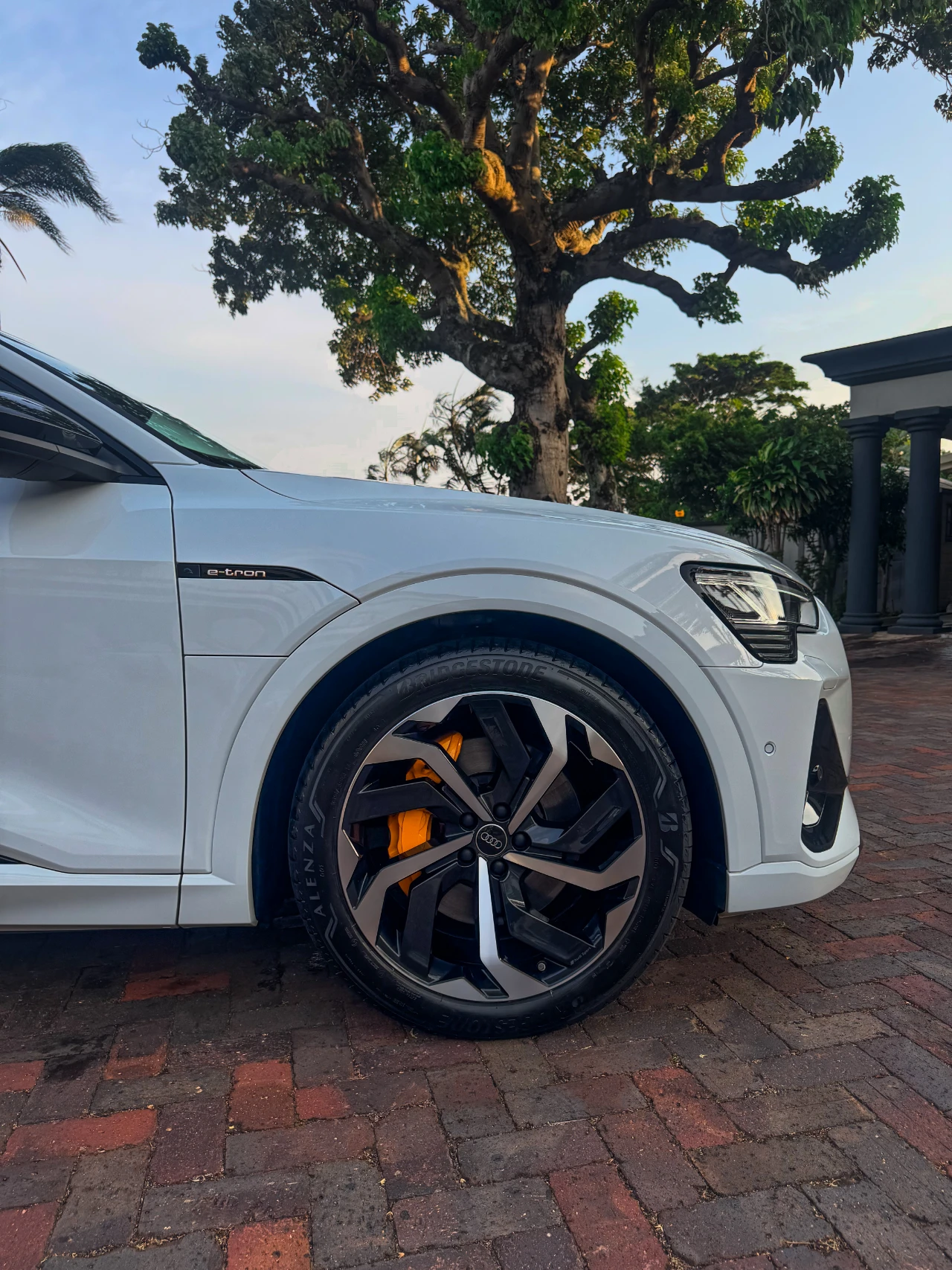 Detailed Audi e-tron wheel